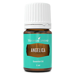 Angelica Essential Oil - 5 ml