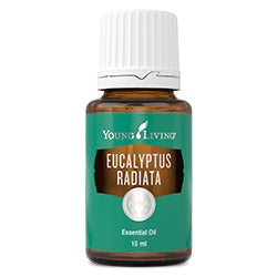 Eucalyptus Radiata Essential Oil - 15ml