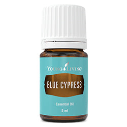Blue Cypress Essential Oil - 5ml