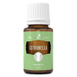 Citronella Essential Oil - 15ml