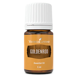 Goldenrod Essential Oil - 5ml