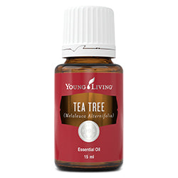 Tea Tree (Melaleuca Alternifolia) Essential Oil - 15ml